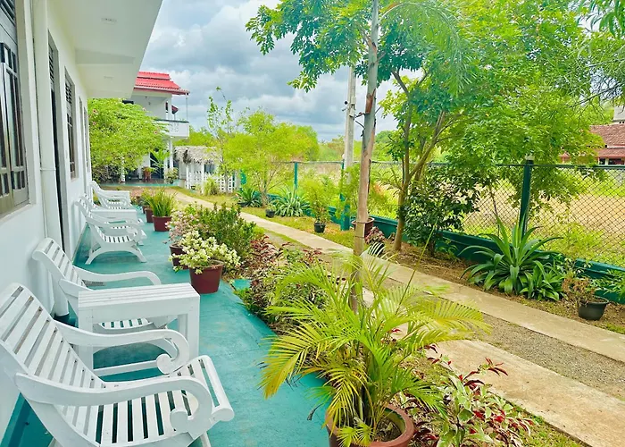 New Peacock Resort
