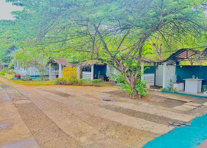 New Peacock Resort